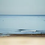 Sea View كوراليهو