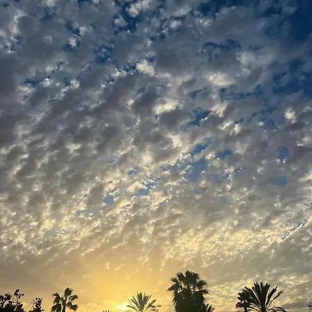 Sea View كوراليهو